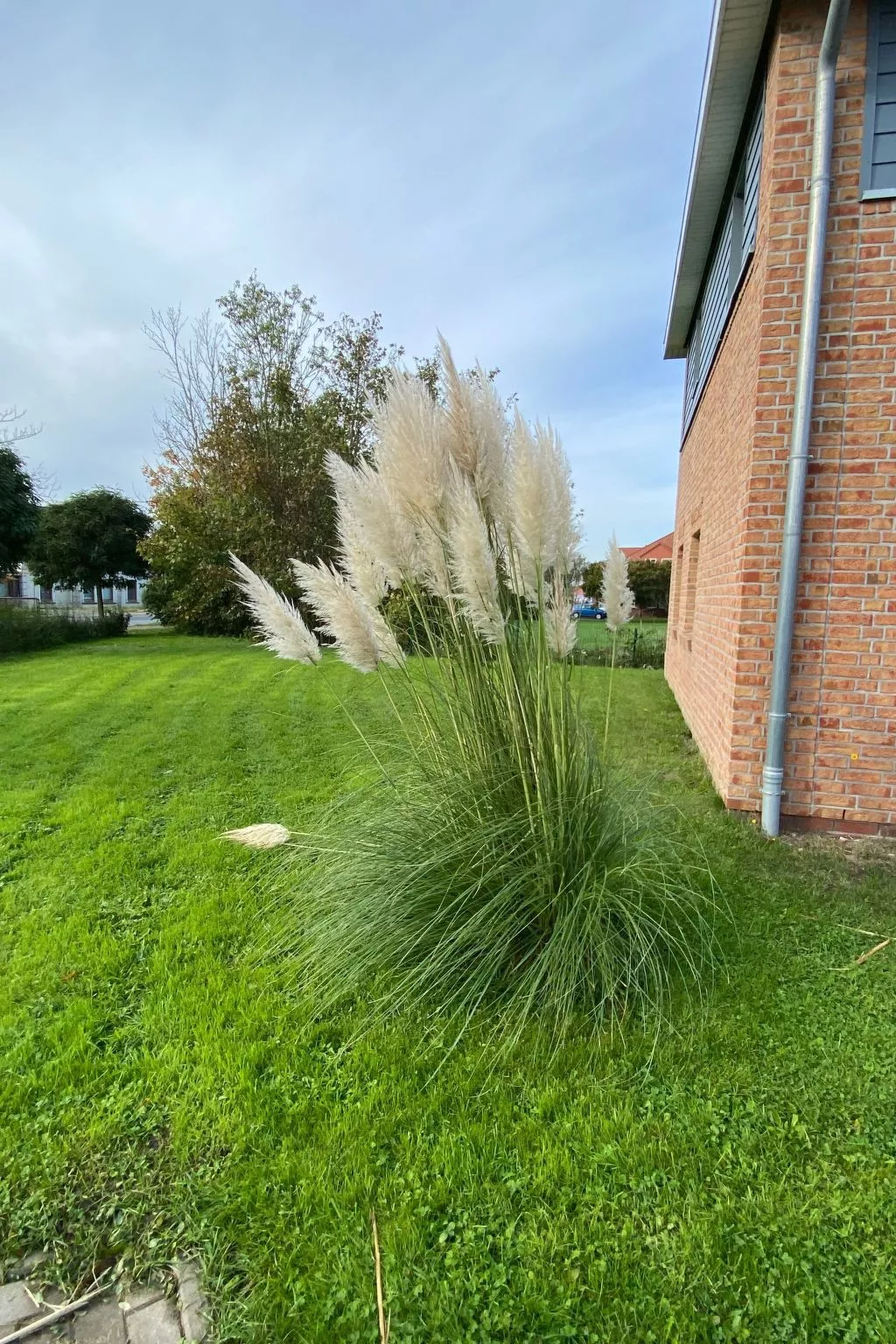 Haus Wattwurm - Image-tags.info