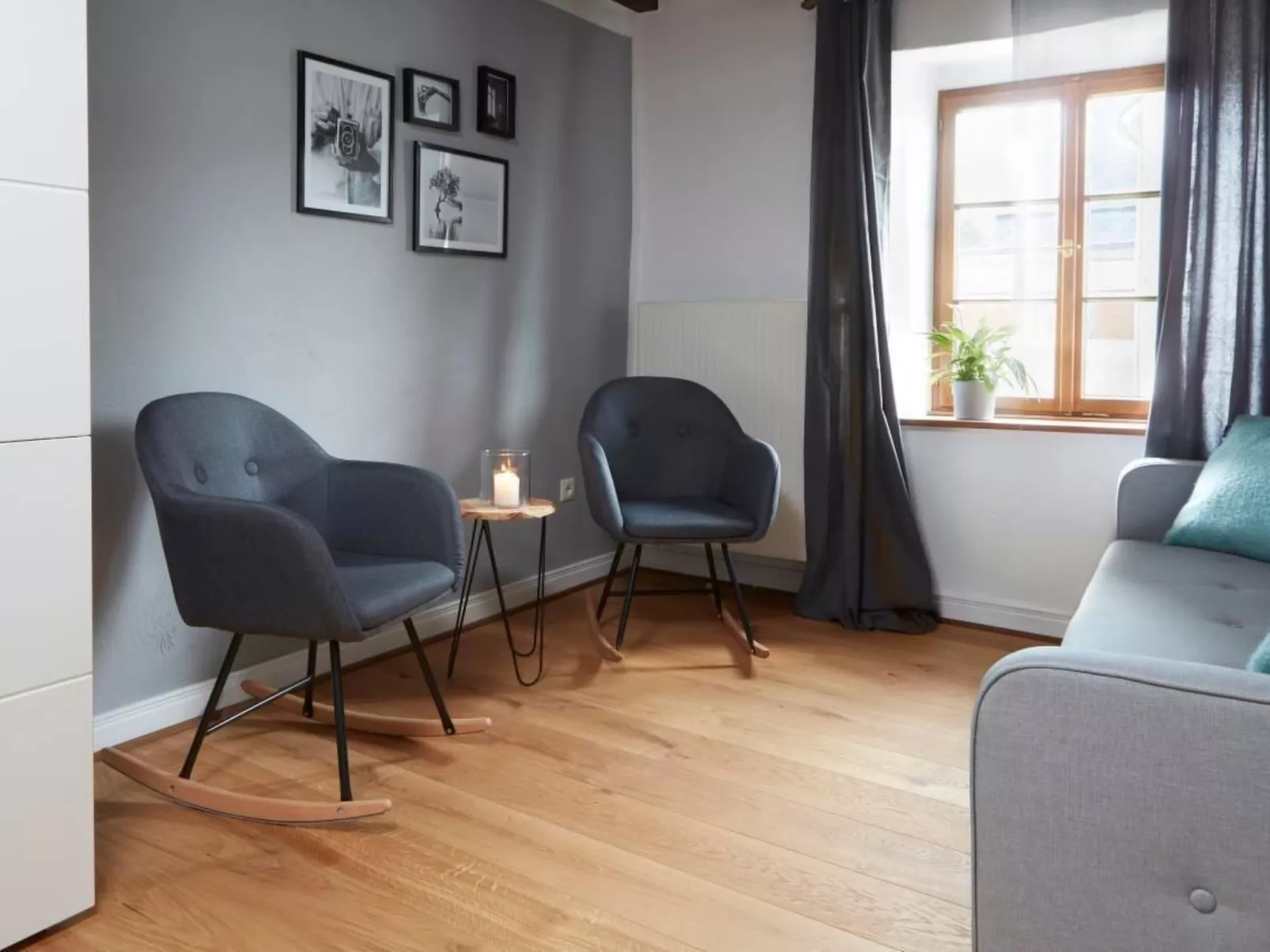 Olive Tree - Image-tags.info