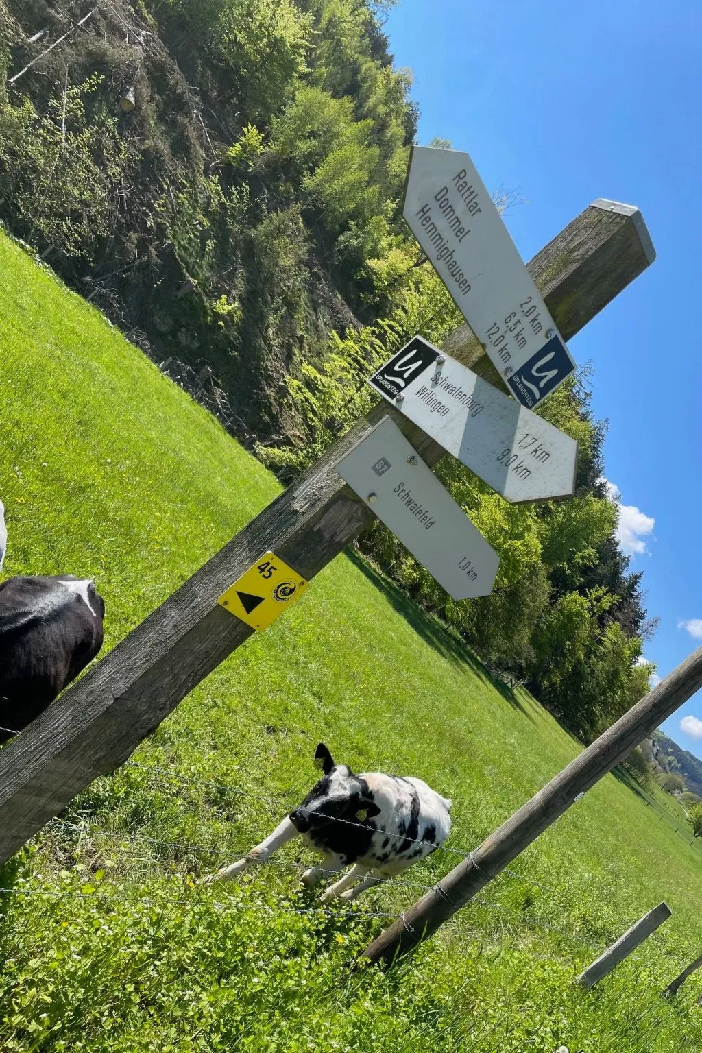 Renovierte Wohnung in Schwalefeld mit Garten, Terrasse und Grill - Image-tags.info