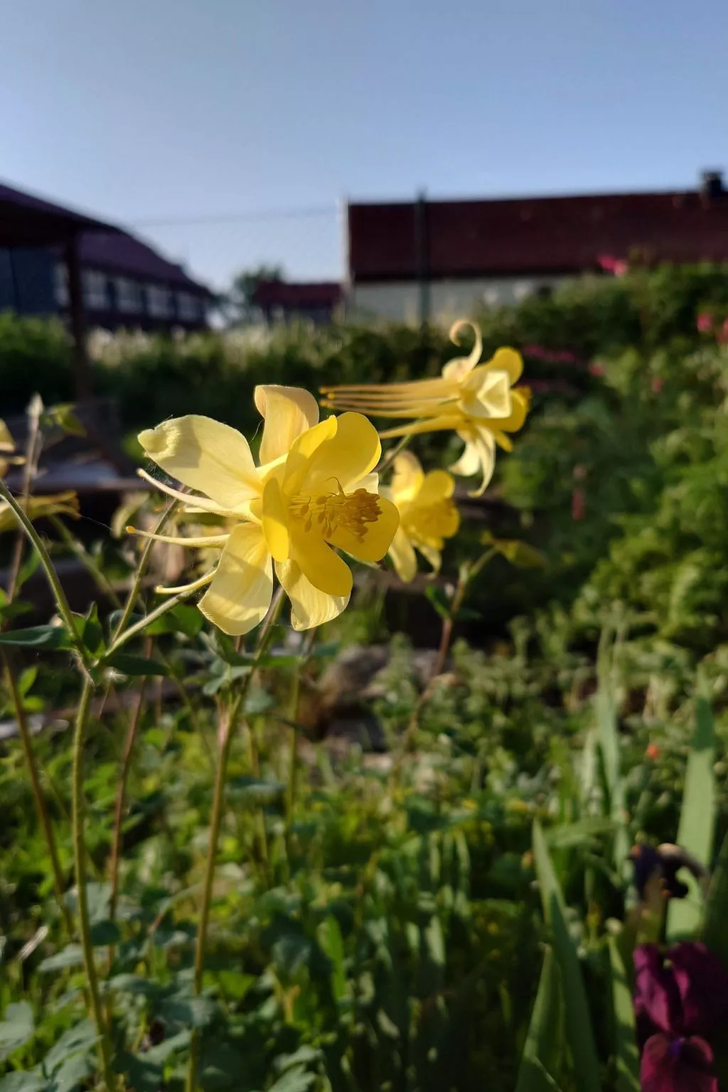 Kerstin - Image-tags.info