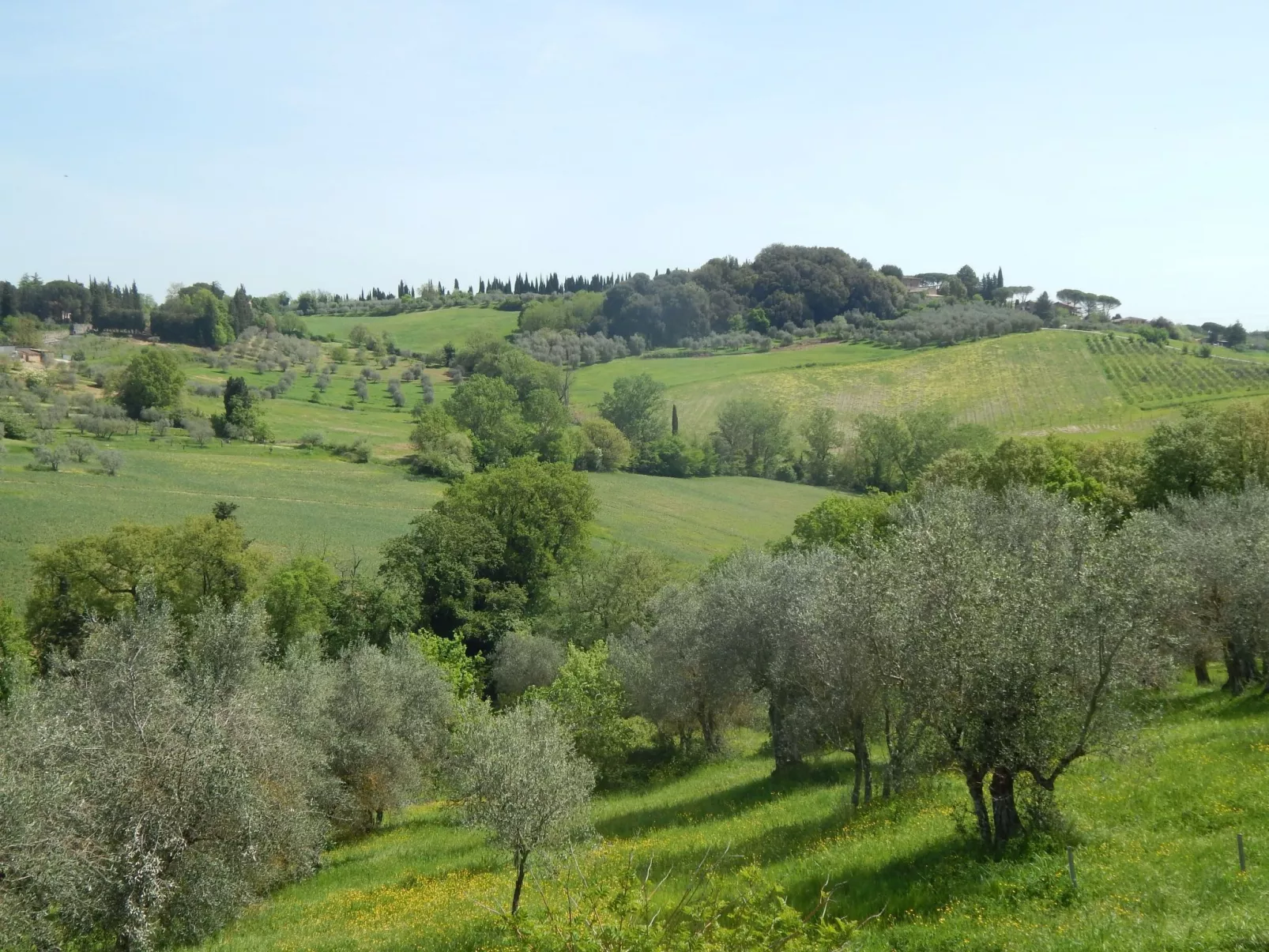 Wohnung auf dem Lande, 3 km vom Zentrum von Siena entfernt - Buiten