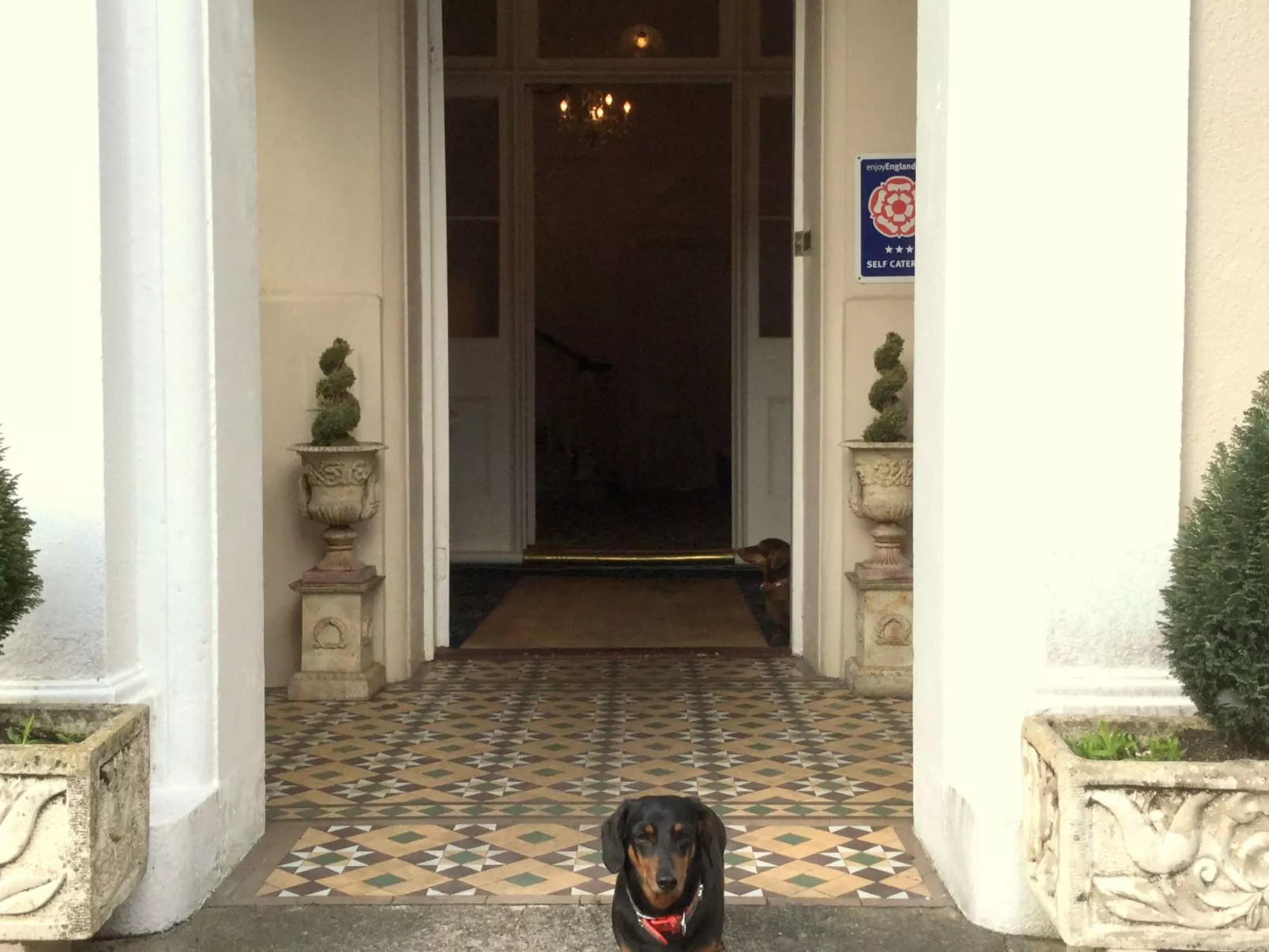 Helle Wohnung in Torquay mit Garten - Image-tags.info