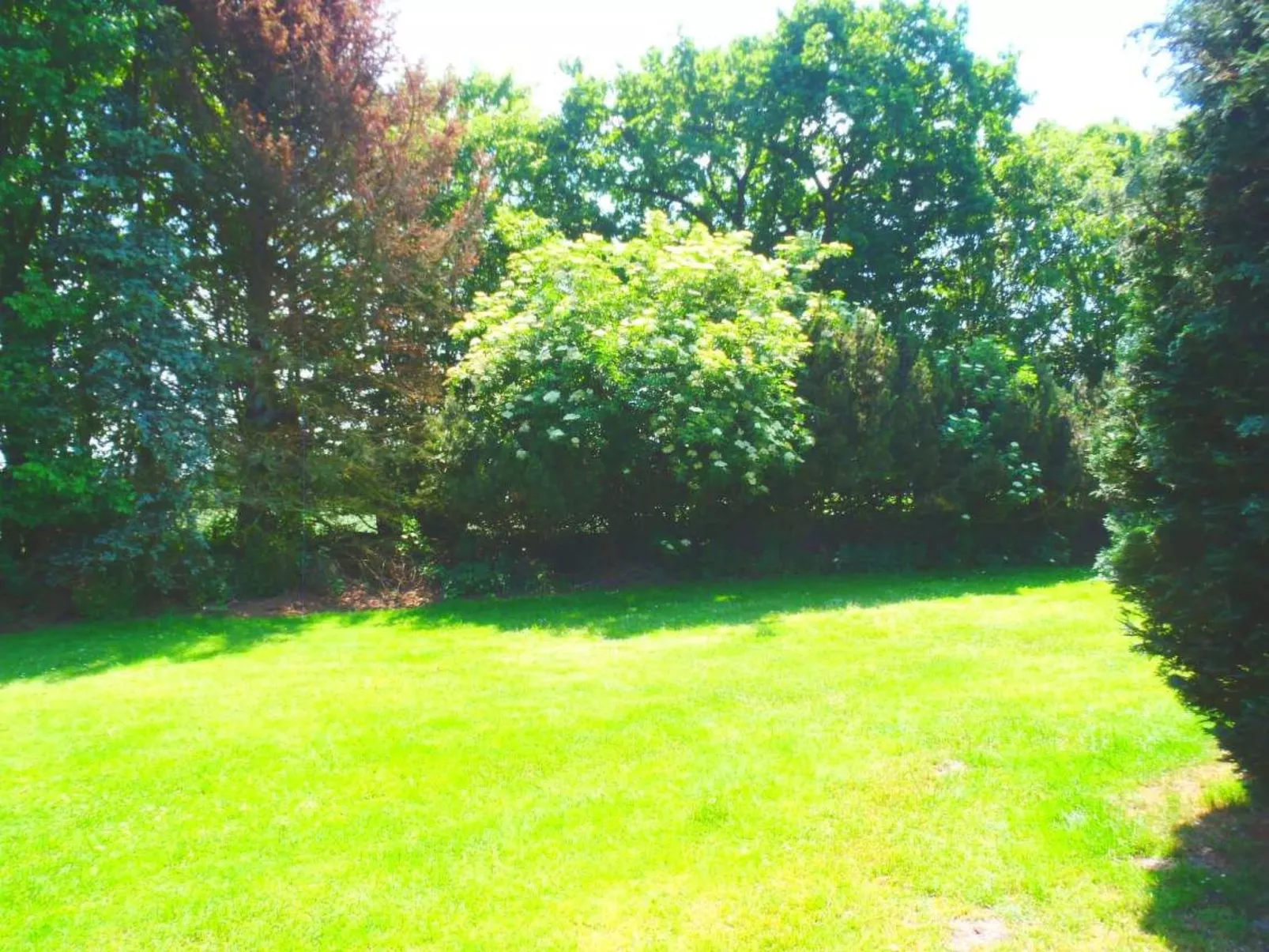 Kamin Chalet 6 - Image-tags.info