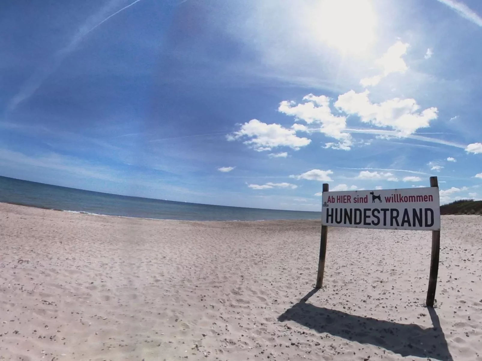 Marina Loft - Image-tags.info