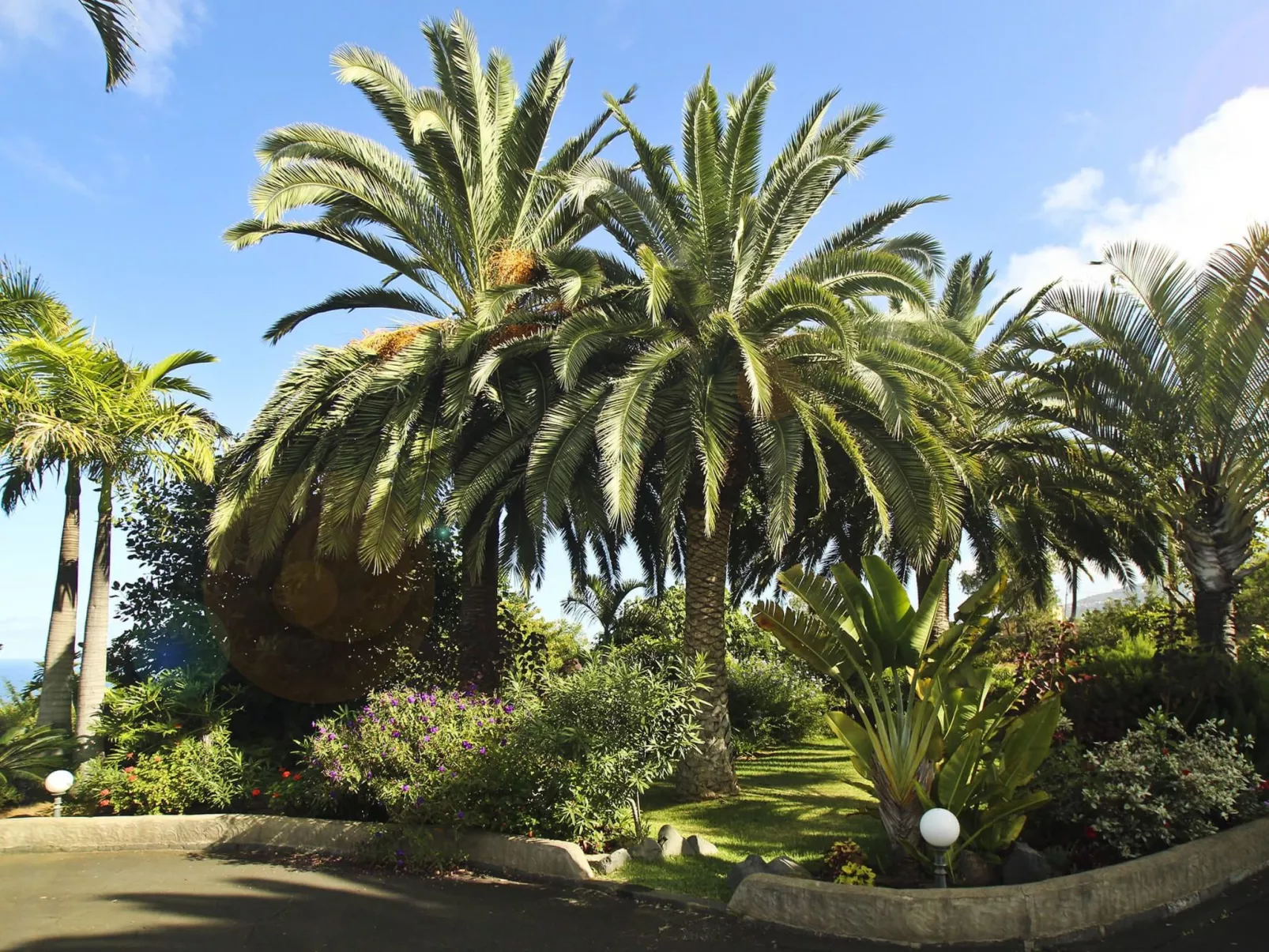 Finca Tocama - Image-tags.info