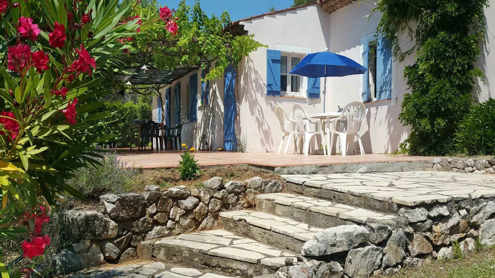 Lomandra - Terrasbalkon