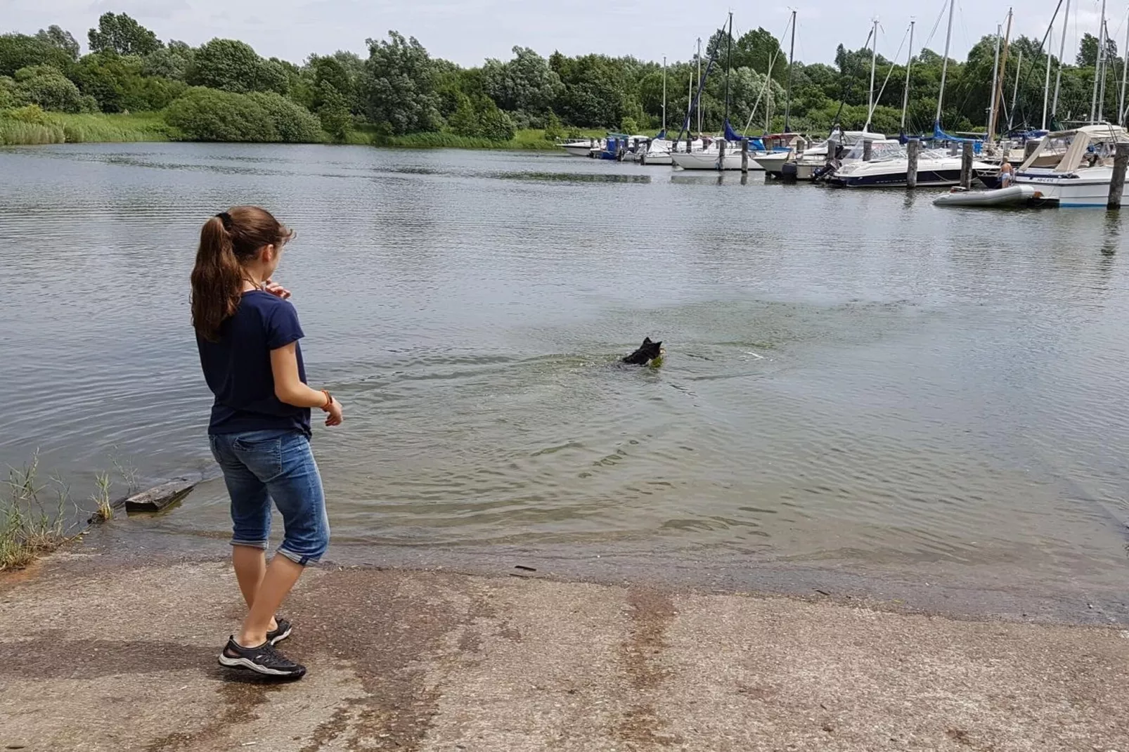 239782-Gebieden zomer 5km