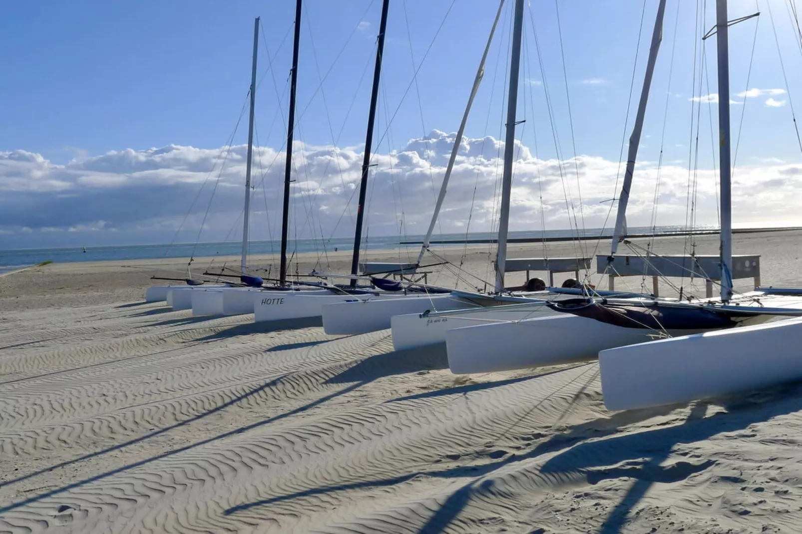 377693 - Gebieden zomer 5km