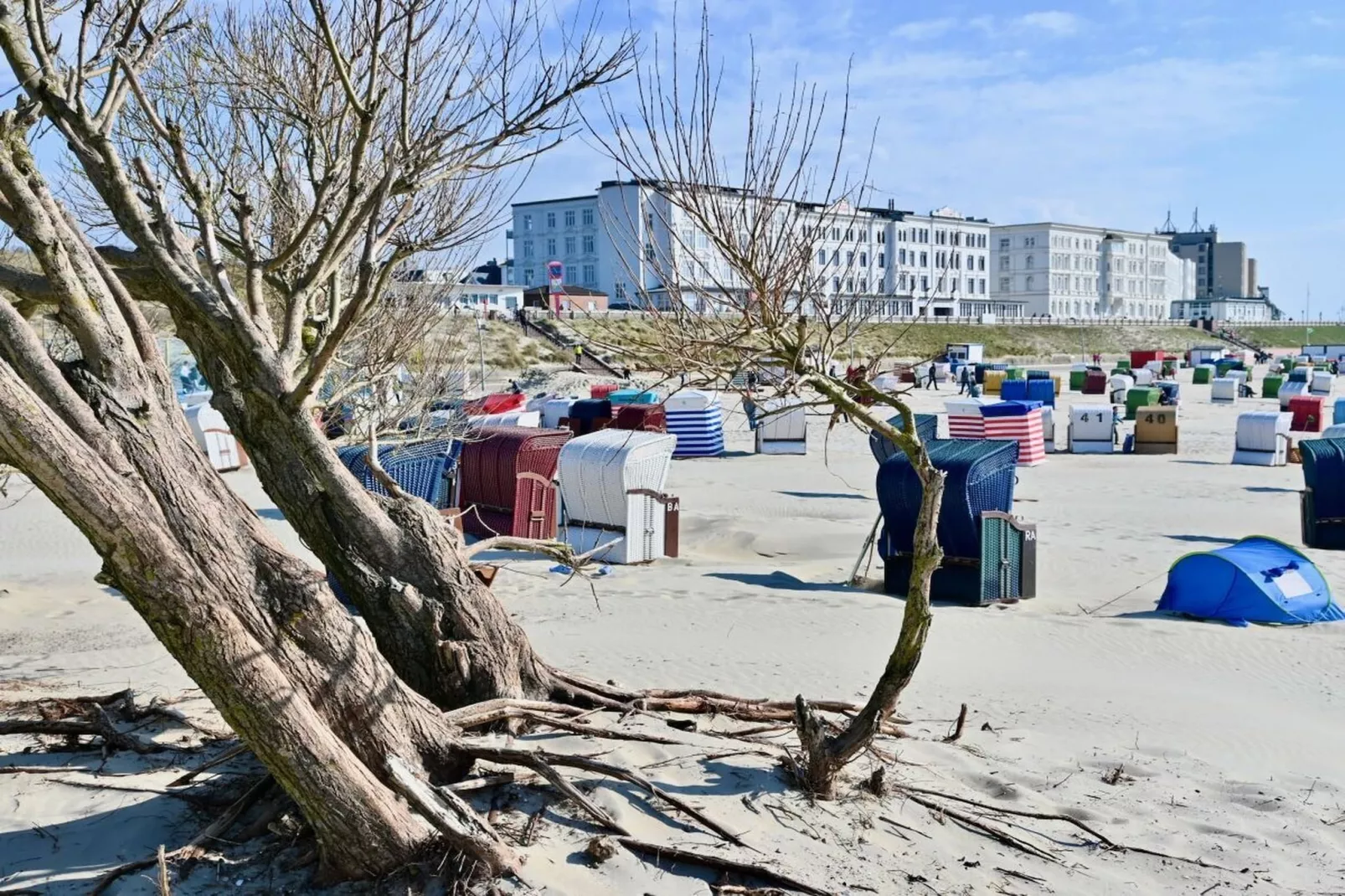 393474-Gebieden zomer 5km
