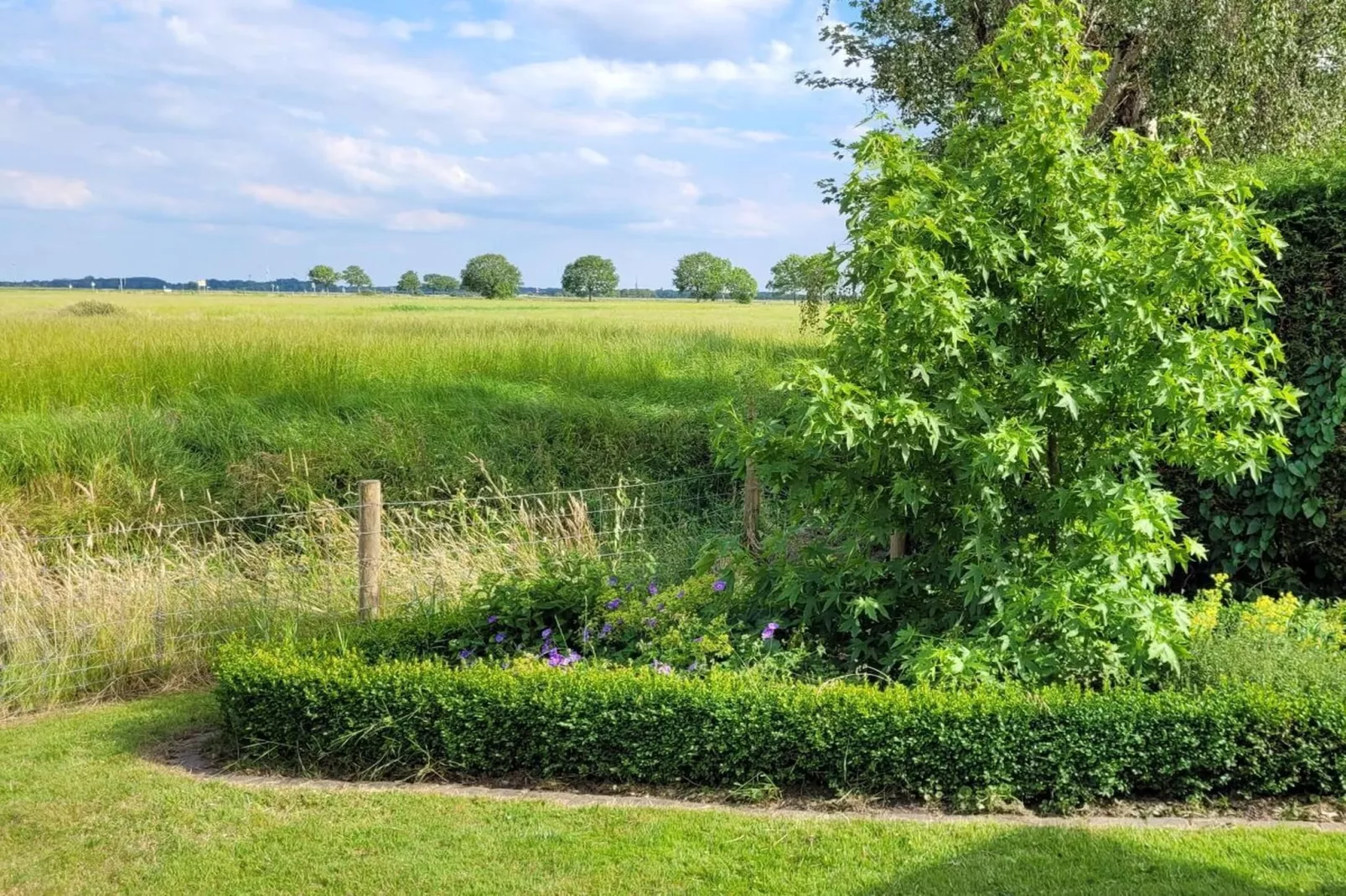 467005-Gebieden zomer 5km