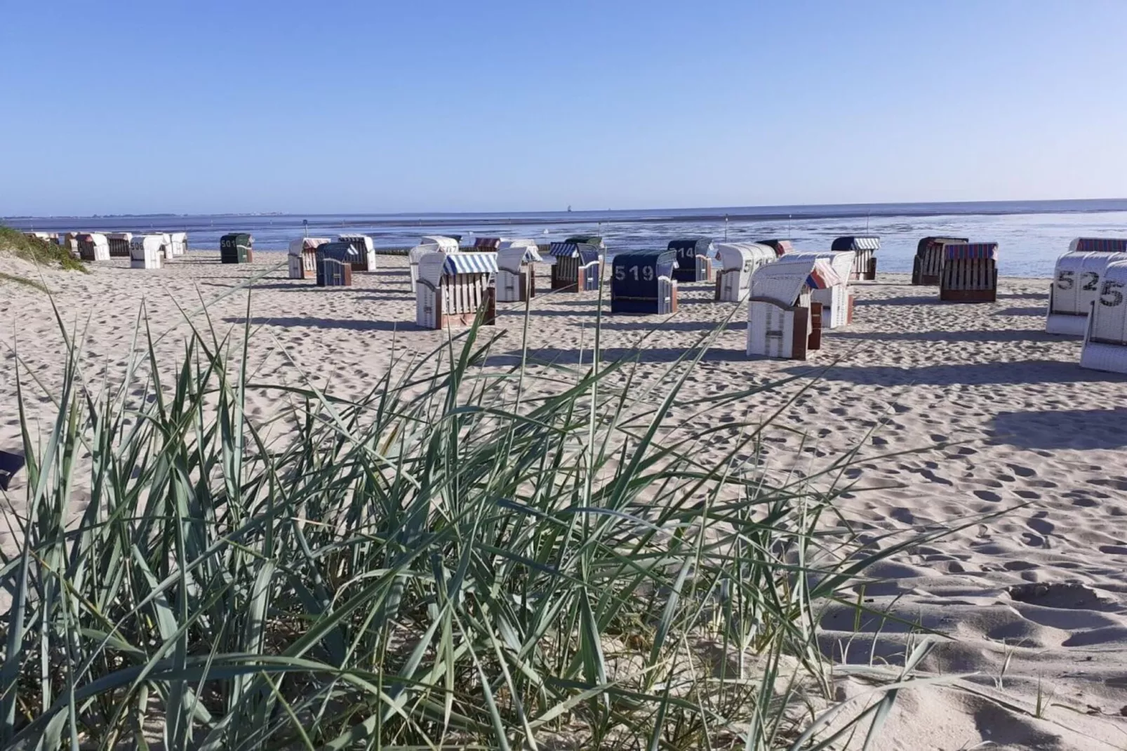 232771-Image-tags.water view