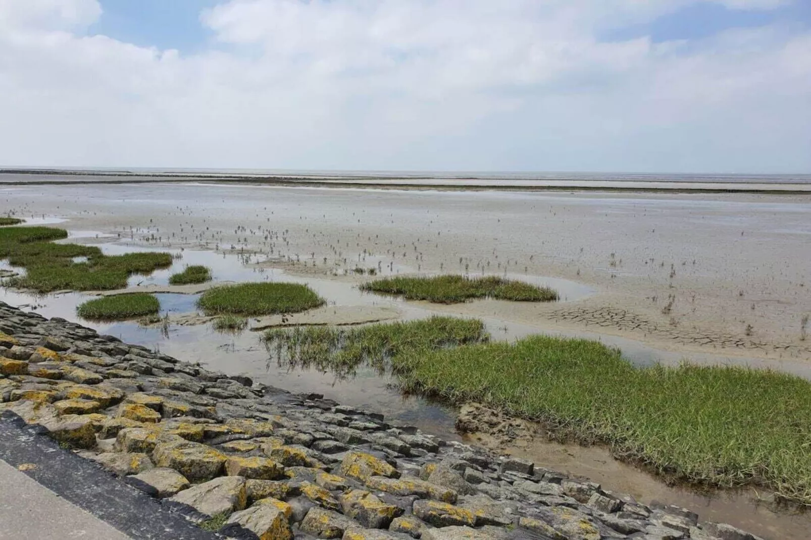 292612-Image-tags.water view