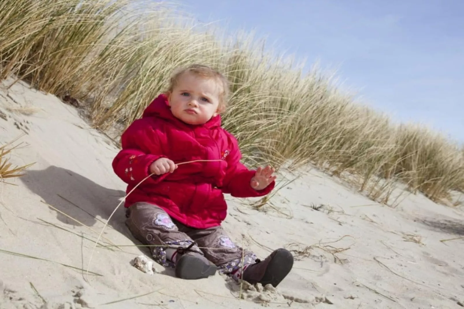 14140-Gebieden zomer 5km