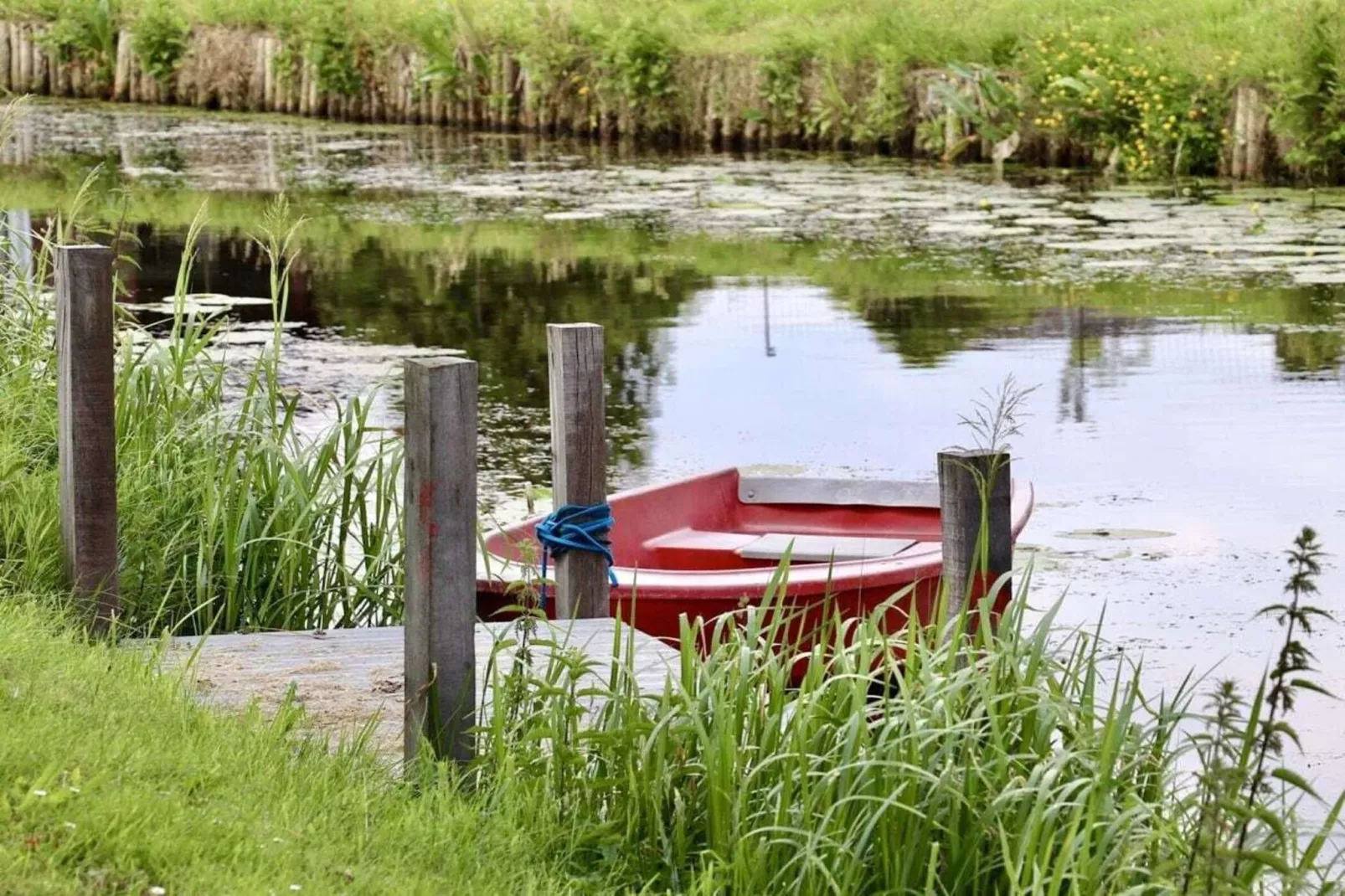 218583-Gebieden zomer 5km