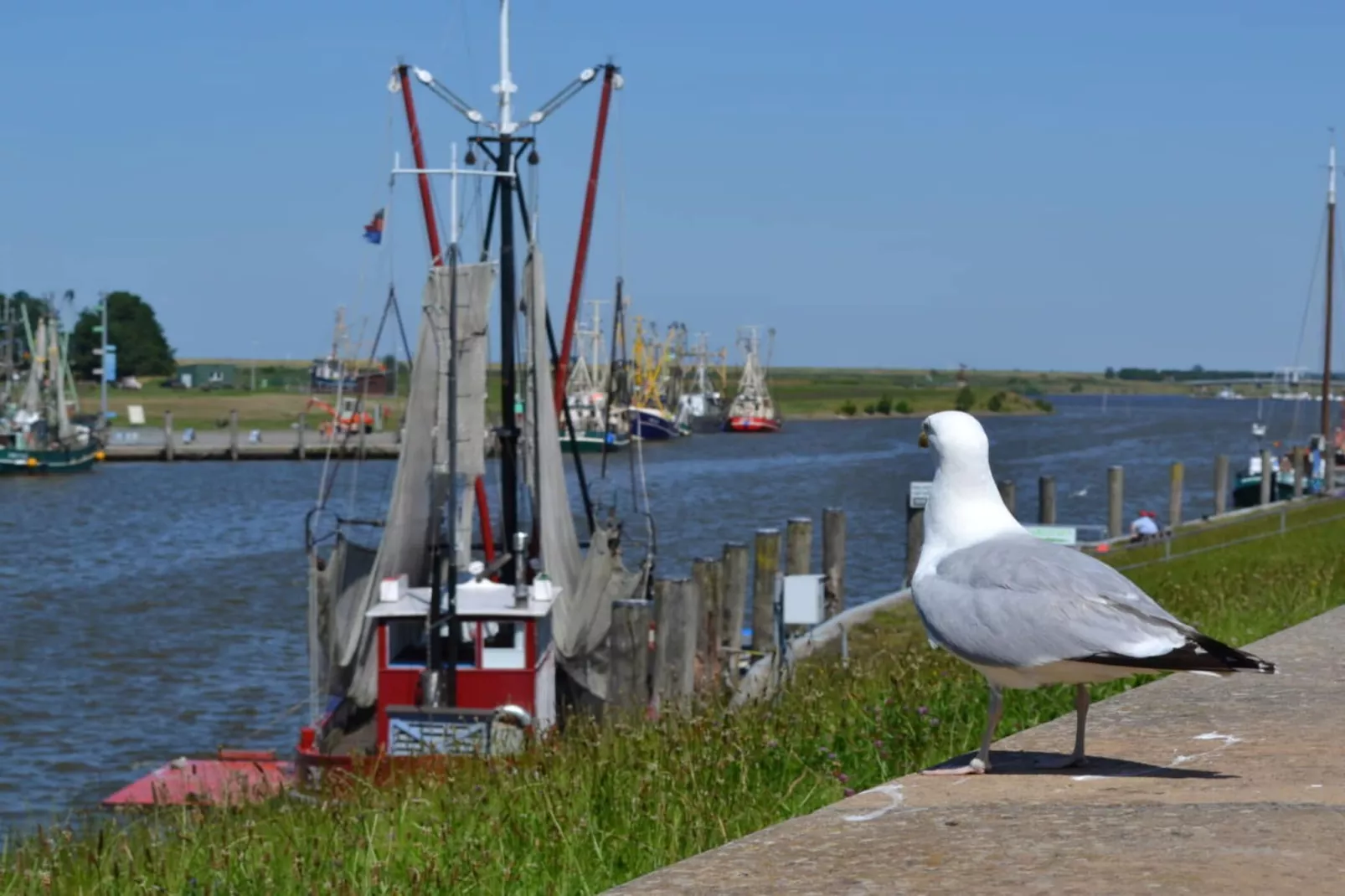 184619 - Gebieden zomer 5km