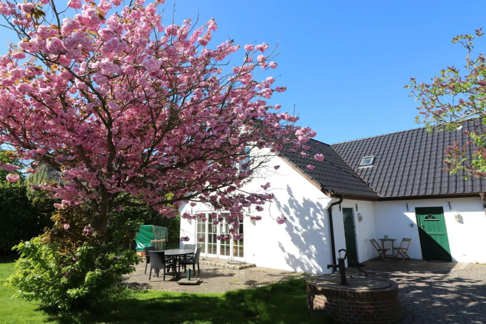 265474 - Tuinen zomer