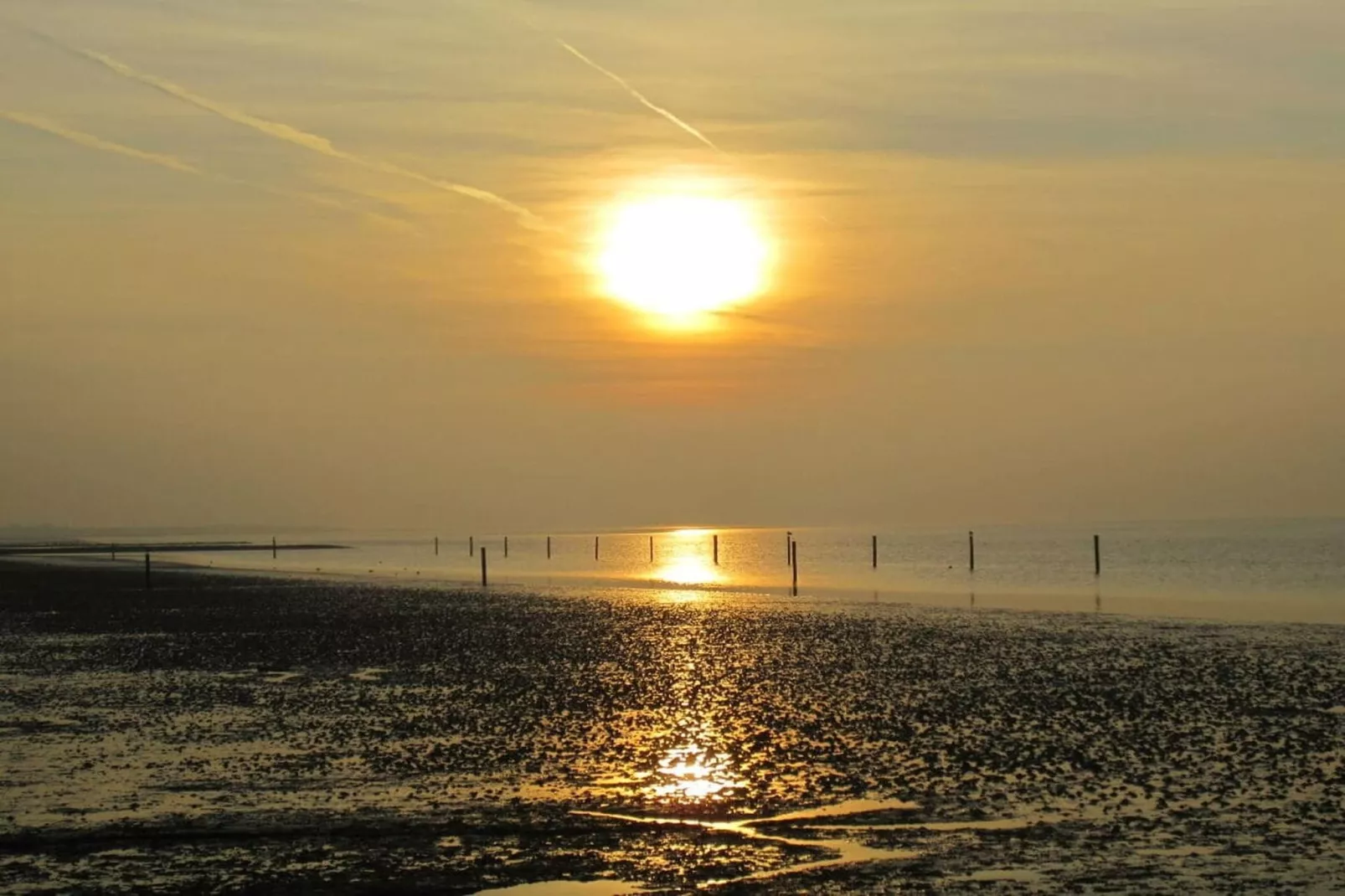90459-Gebieden zomer 5km