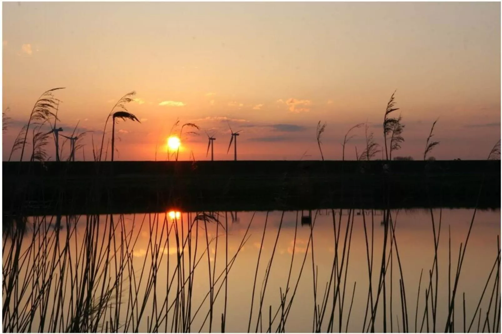 604284 - Image-tags.water view