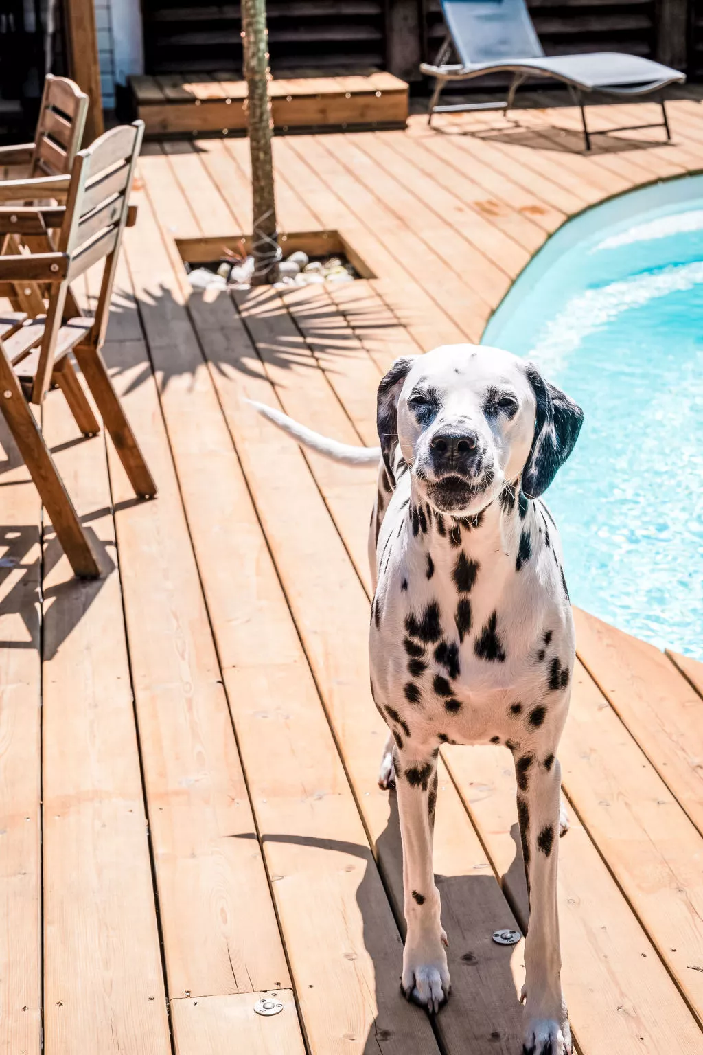 Villa Eden Bleu - Haus in Südlage mit beheiztem Pool und privatem Whirlpool - Buiten