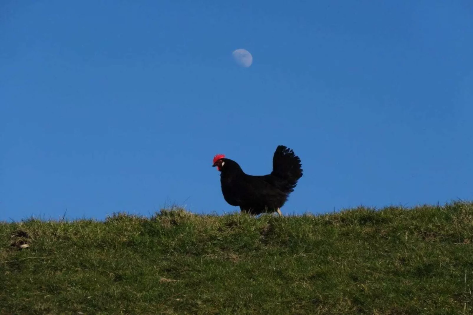 81405-Gebieden zomer 5km