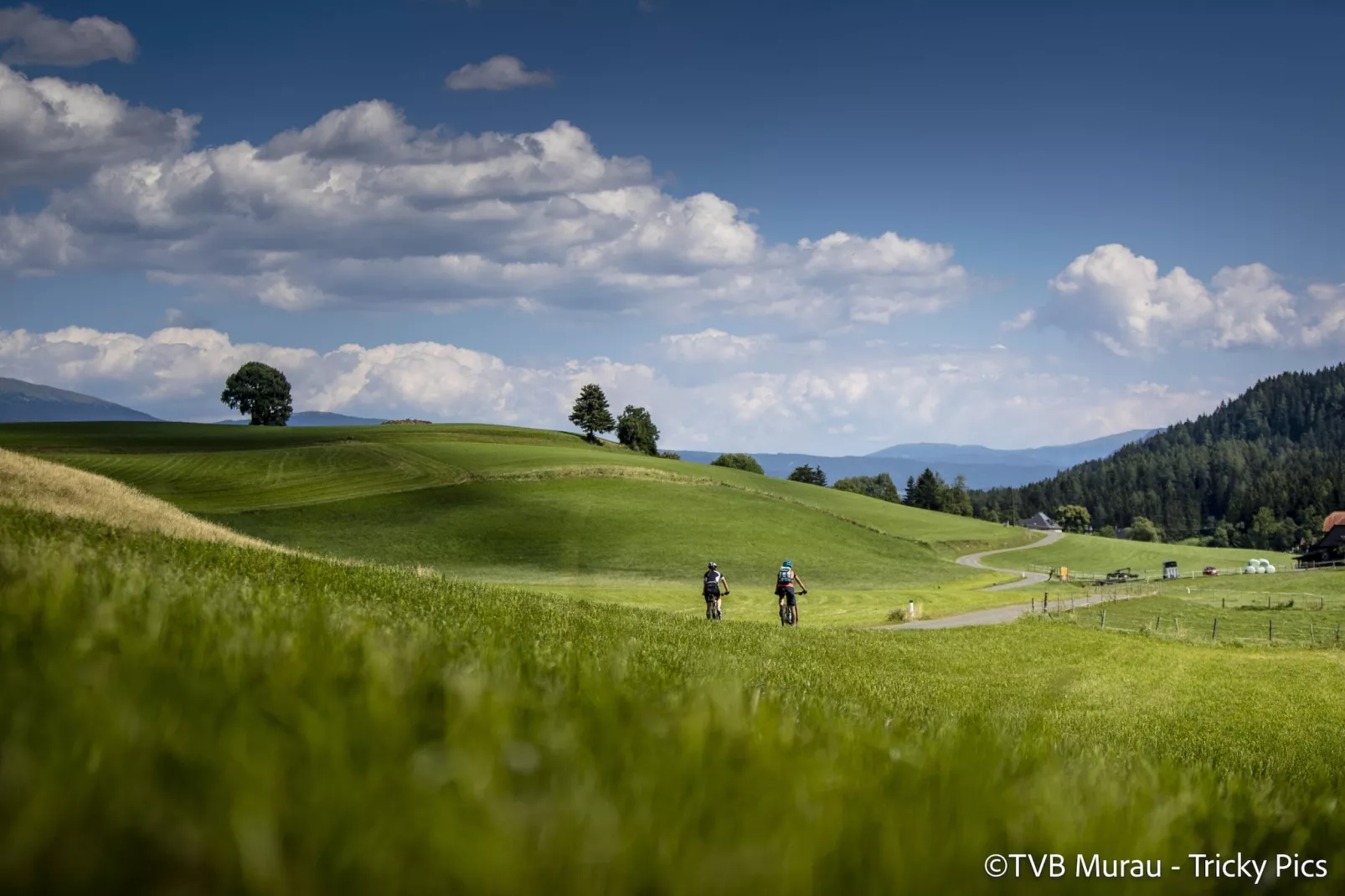 Ferienpark Kreischberg-Niet-getagd