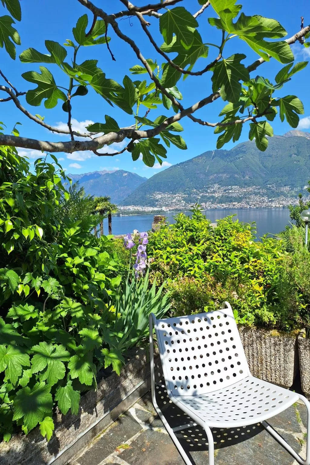 Virabella 8 - Image-tags.info