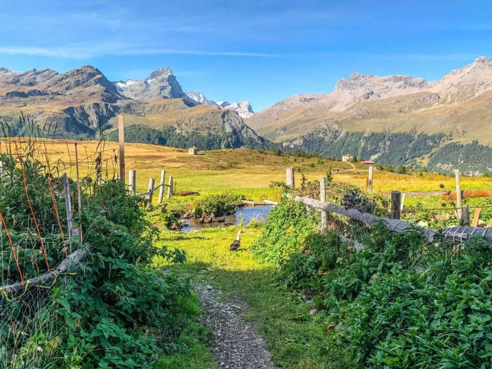 Mit Panoramablick in die Bergwelt - Image-tags.info