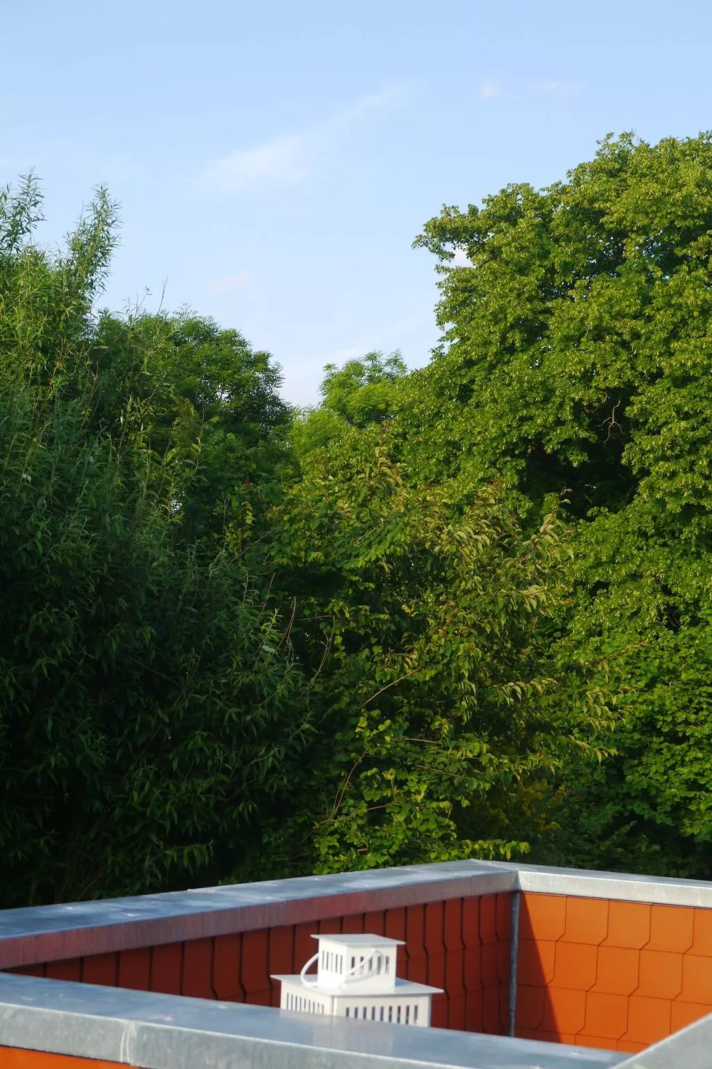 Landgut mit Dachterrasse - Buiten