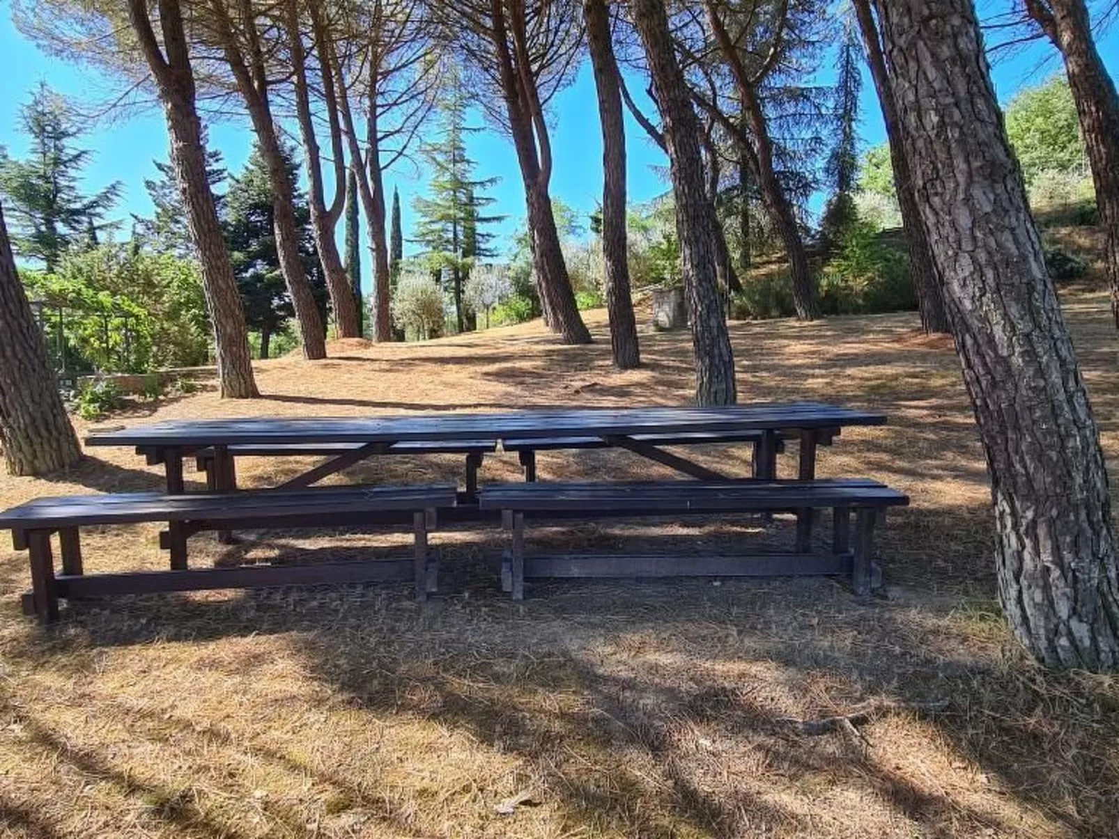 Altes Haus in Rotecastello mit großem Pool - Image-tags.info