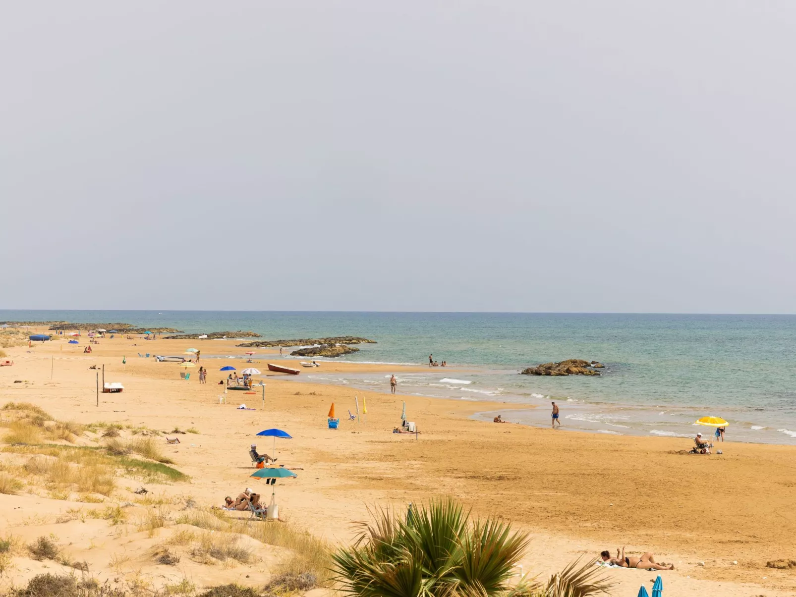 "Il giardino damare" - Image-tags.info