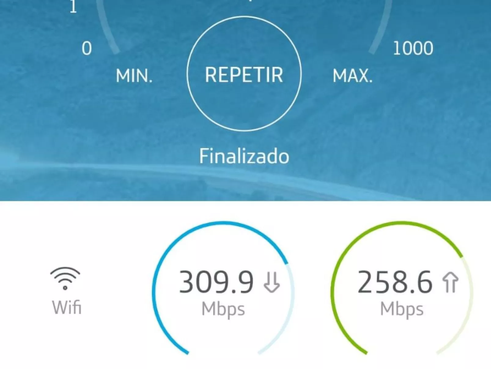 Palm Garden - Image-tags.info