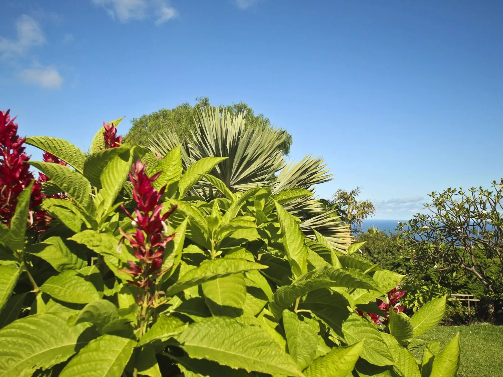 Finca Tocama - Image-tags.info