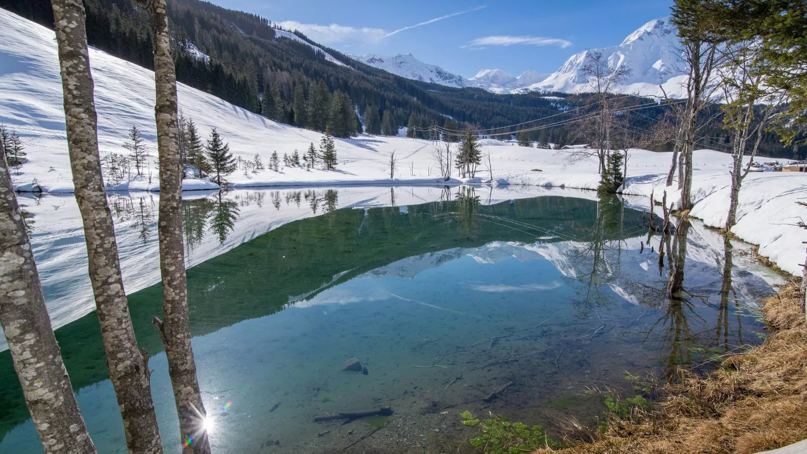 Barney - Gebied winter 1km
