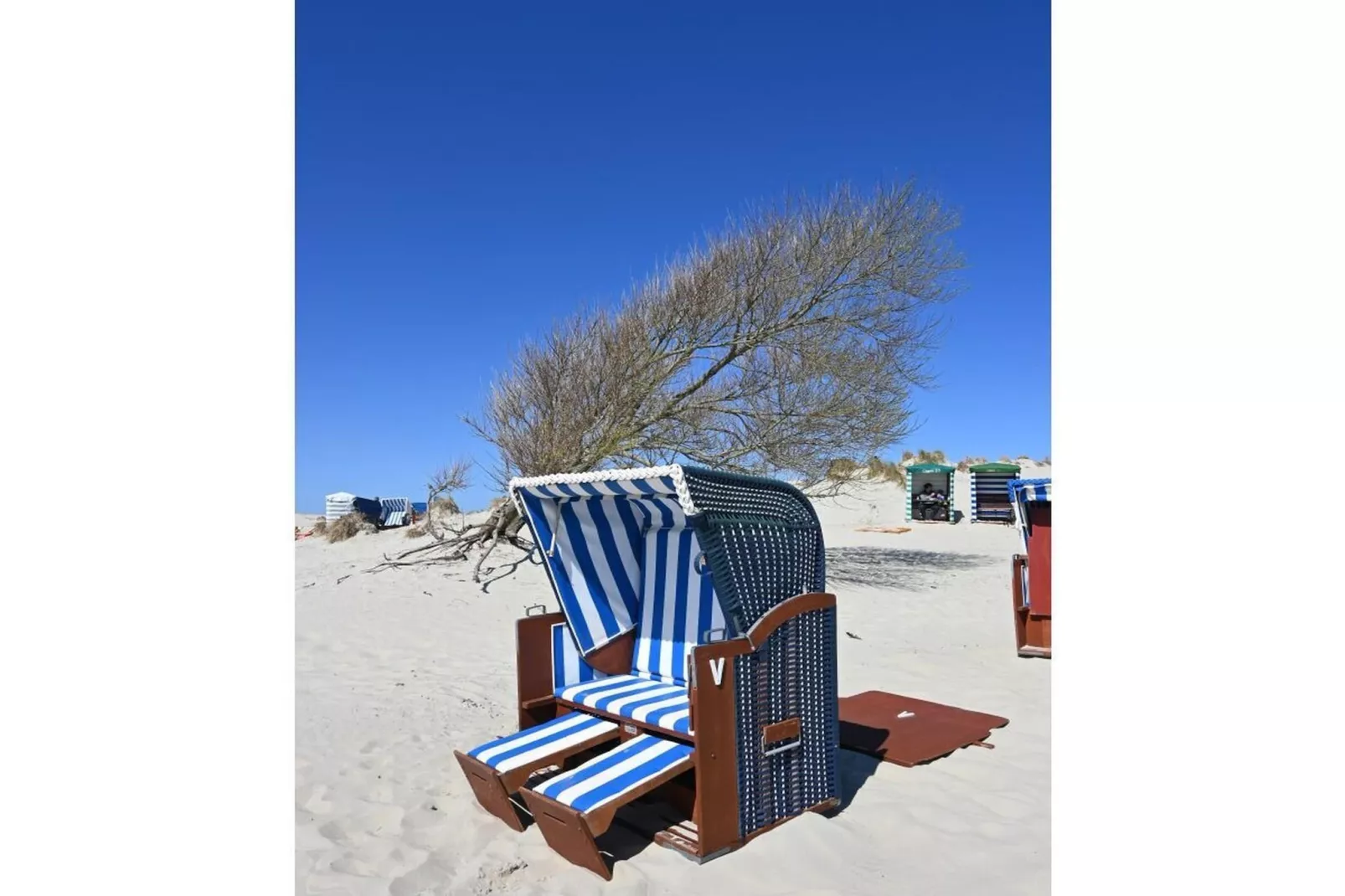 393474-Gebieden zomer 5km