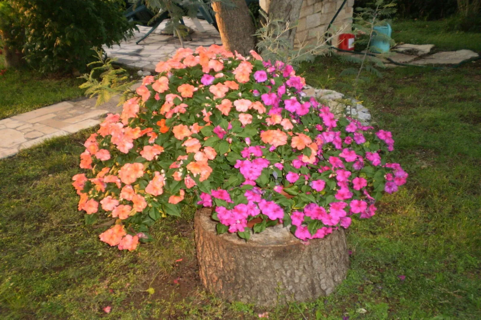 Licul Modern retreat-Tuinen zomer