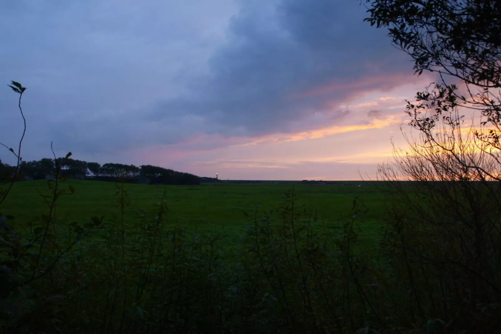 185172-Uitzicht zomer