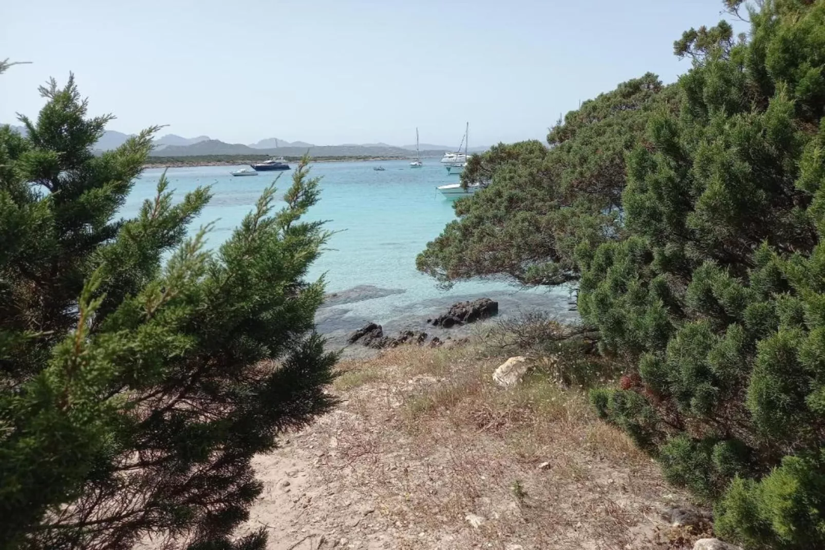 Studio Superior 22-Gebieden zomer 20km