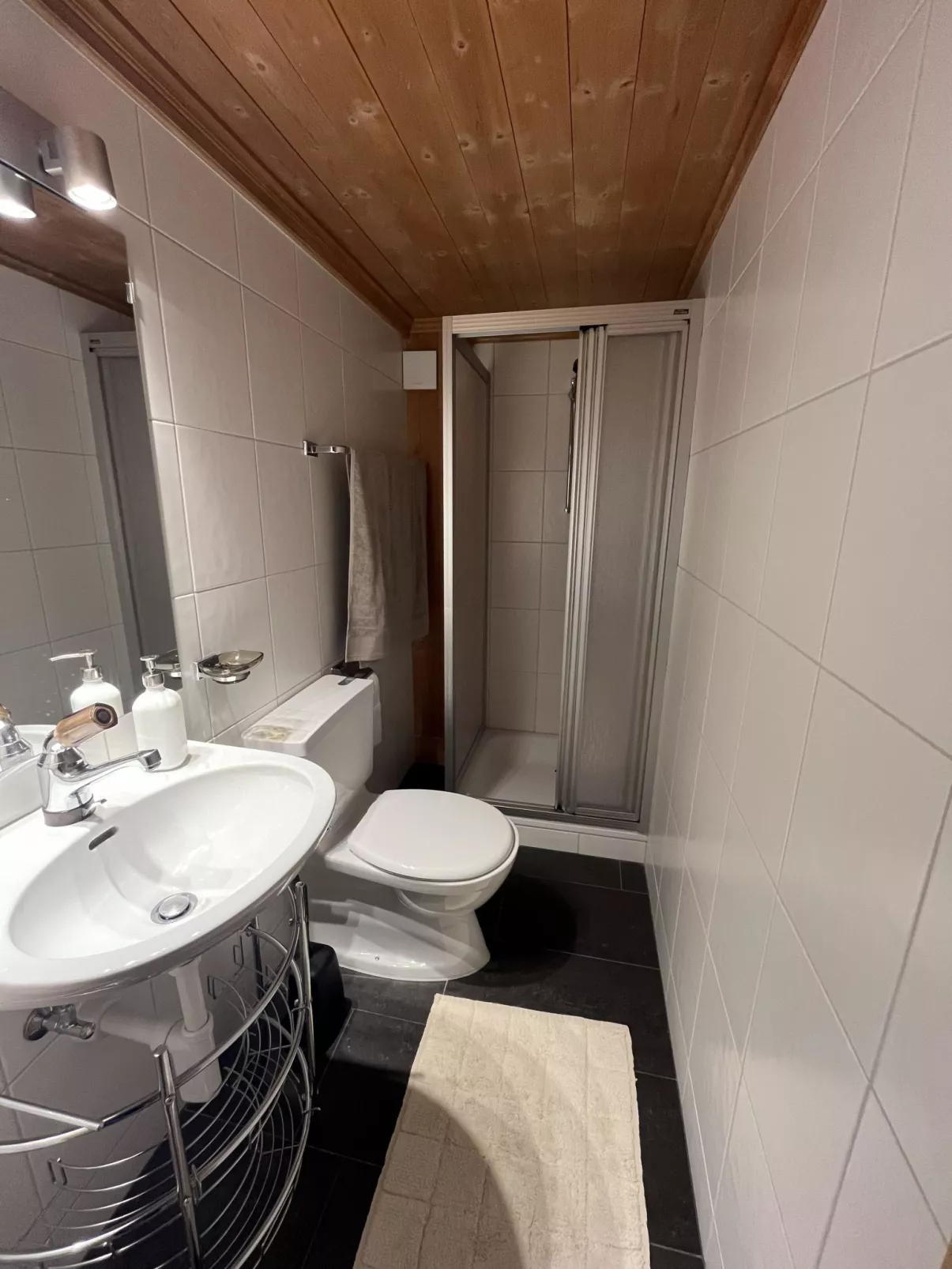 Hivernants Le Premier - Binnen