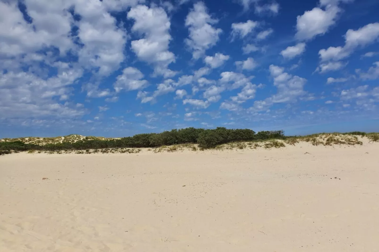 315546-Image-tags.water view