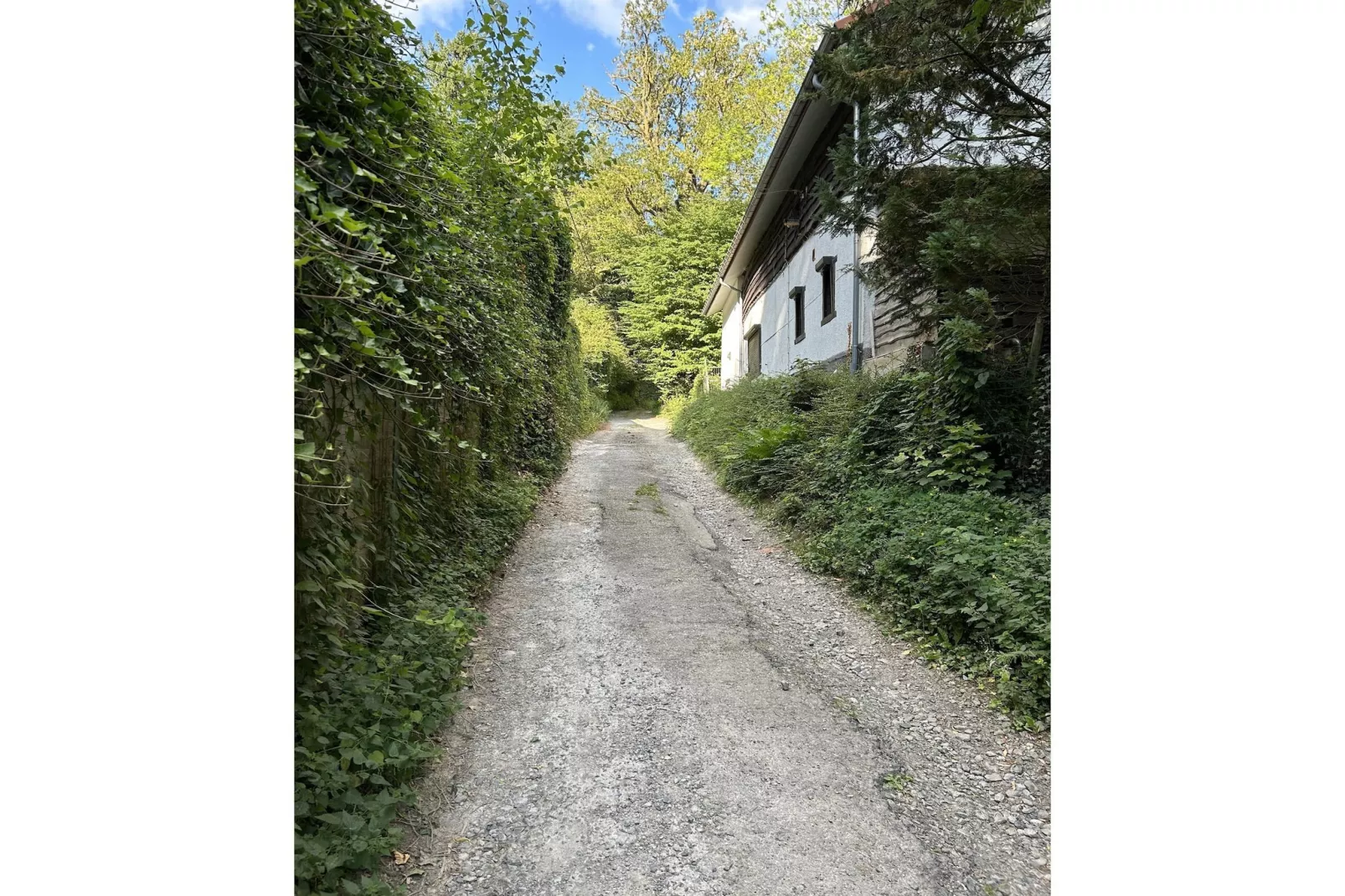 L'Ecureuil Blanc-Gebieden zomer 1km