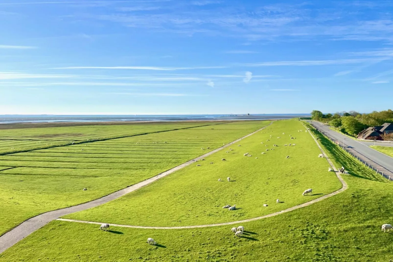 620522 - Uitzicht zomer