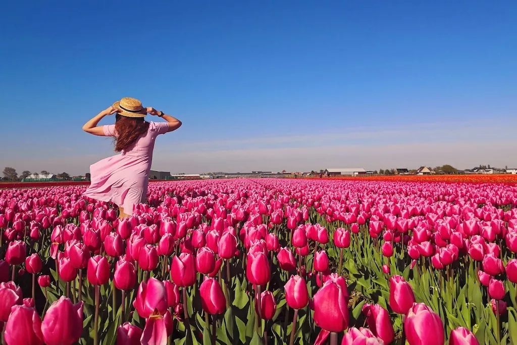 636177 - Niet-getagd