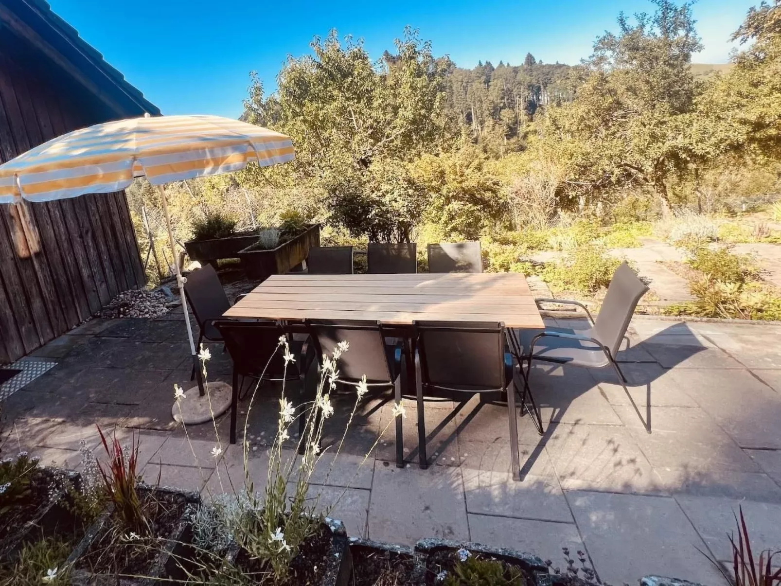 Alpaka-Ferienhaus Oenzlen - Image-tags.info