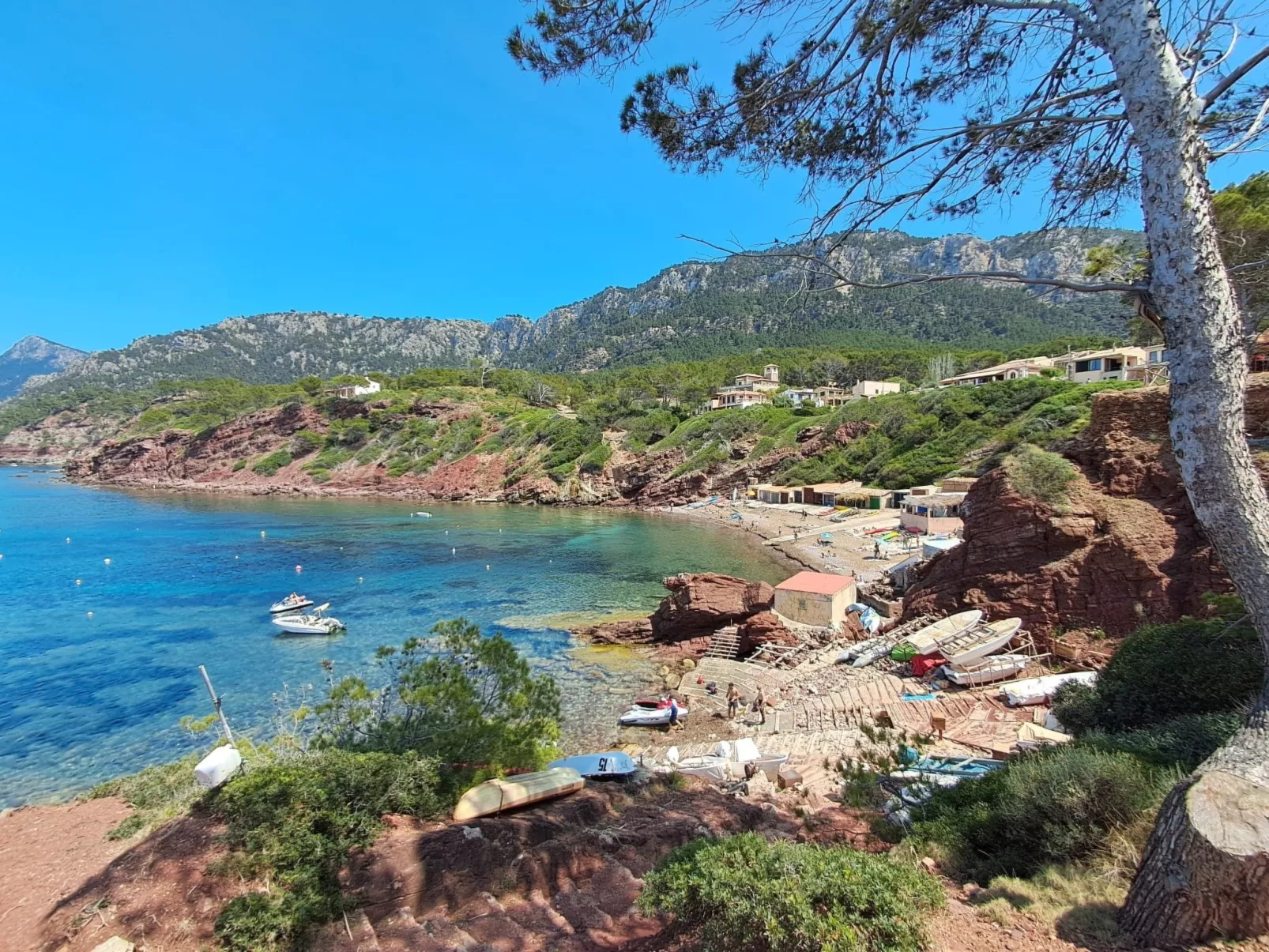 Cas Metge - Image-tags.info