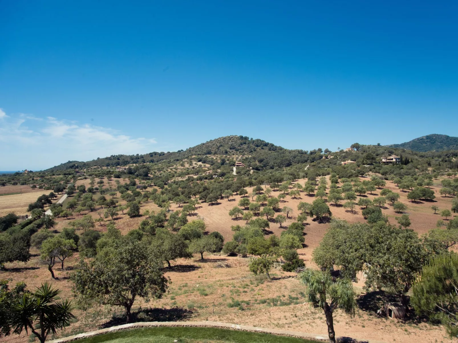 Turo Golf - Buiten