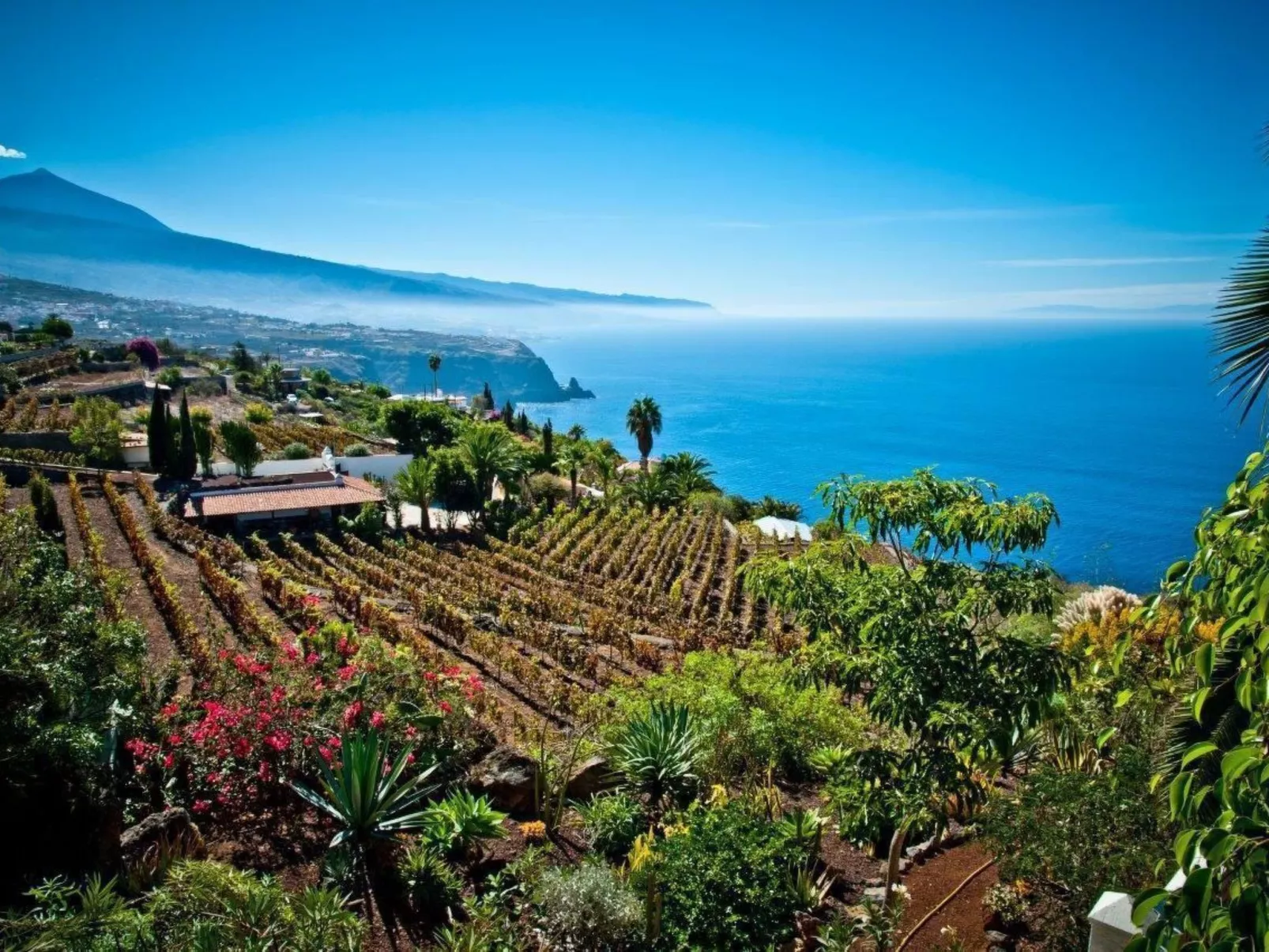 Wohnung in La Matanza De Acentejo mit Terrasse, gemeinsamem Pool und Garten - Image-tags.info