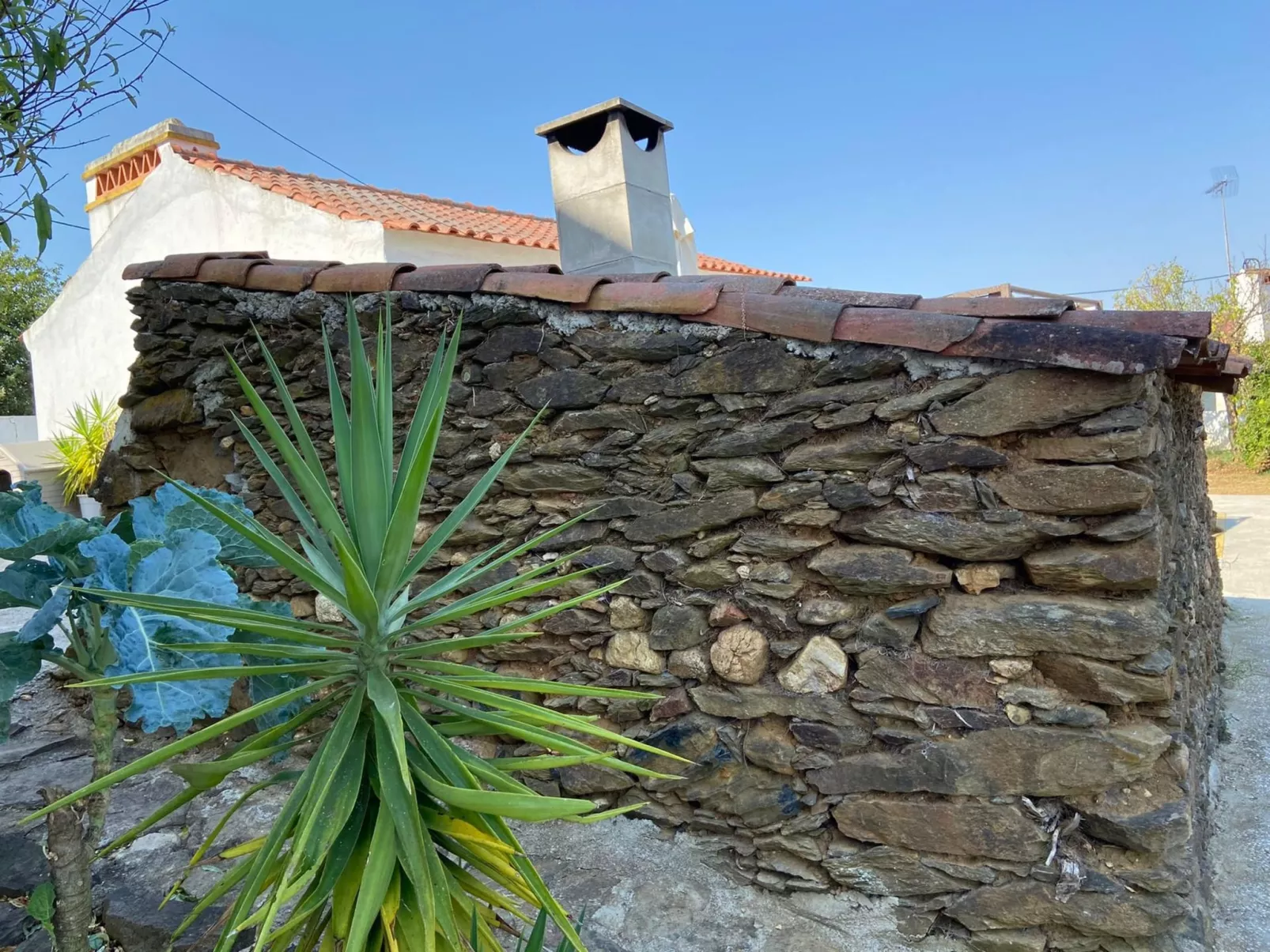 Visitar Bioucas II Traditionelles Einfamilienhaus - Image-tags.info