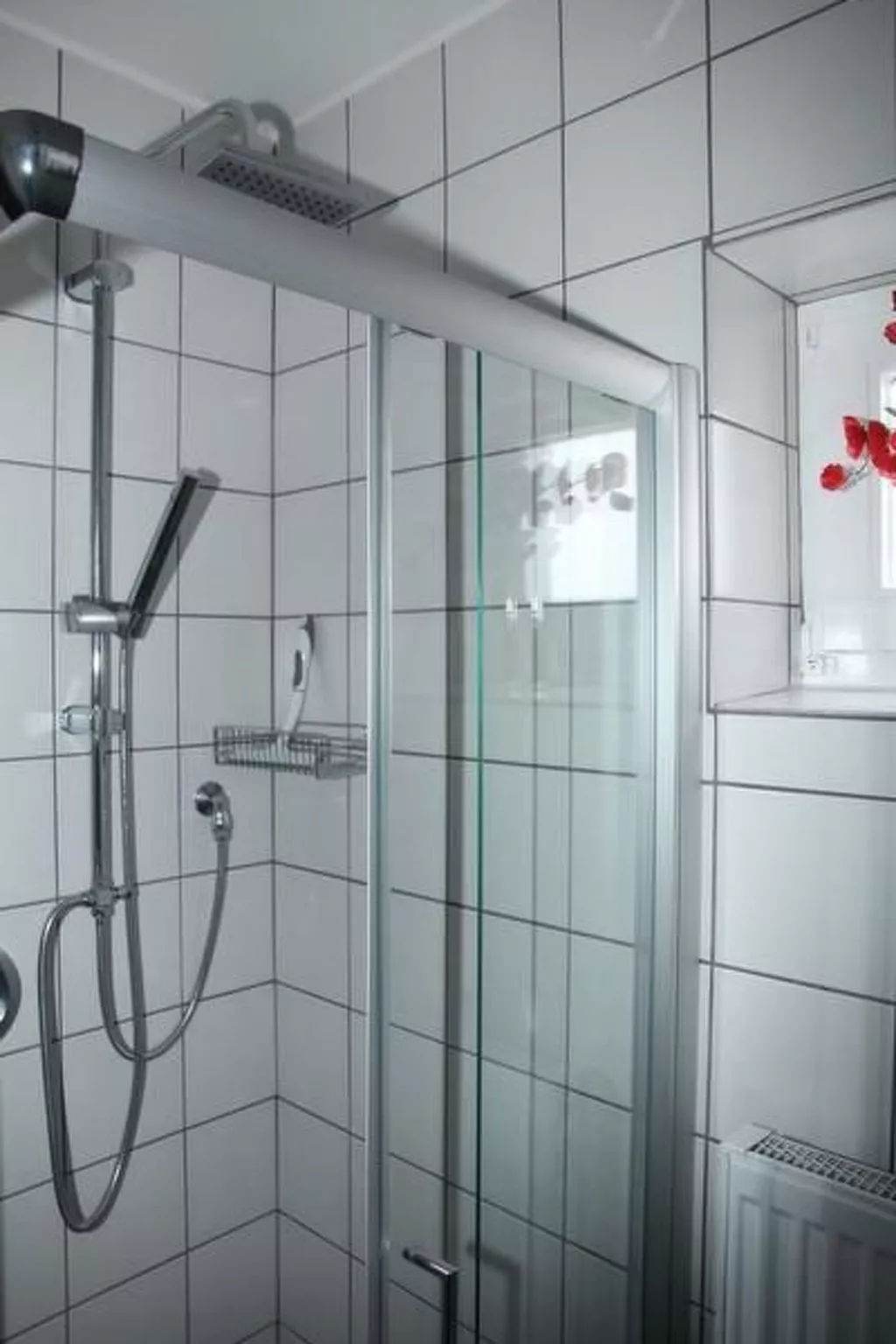 Adele - Allergiker geeignet - Image-tags.info