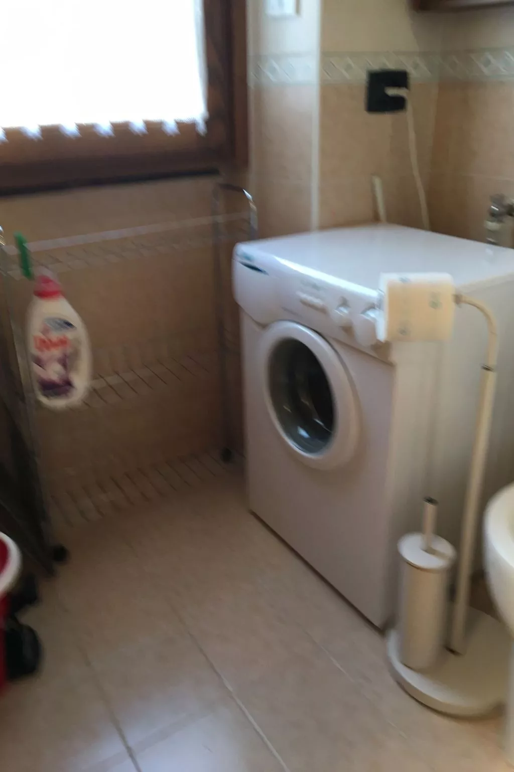 'San Francesco - Image-tags.info