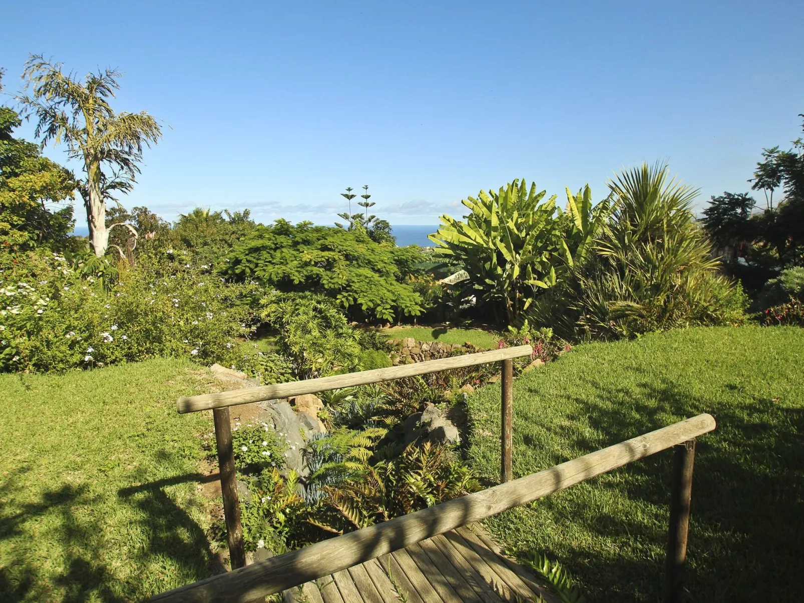 Finca Tocama - Image-tags.info